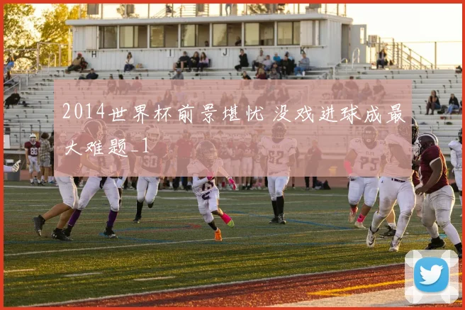 2014世界杯前景堪忧 没戏进球成最大难题_1